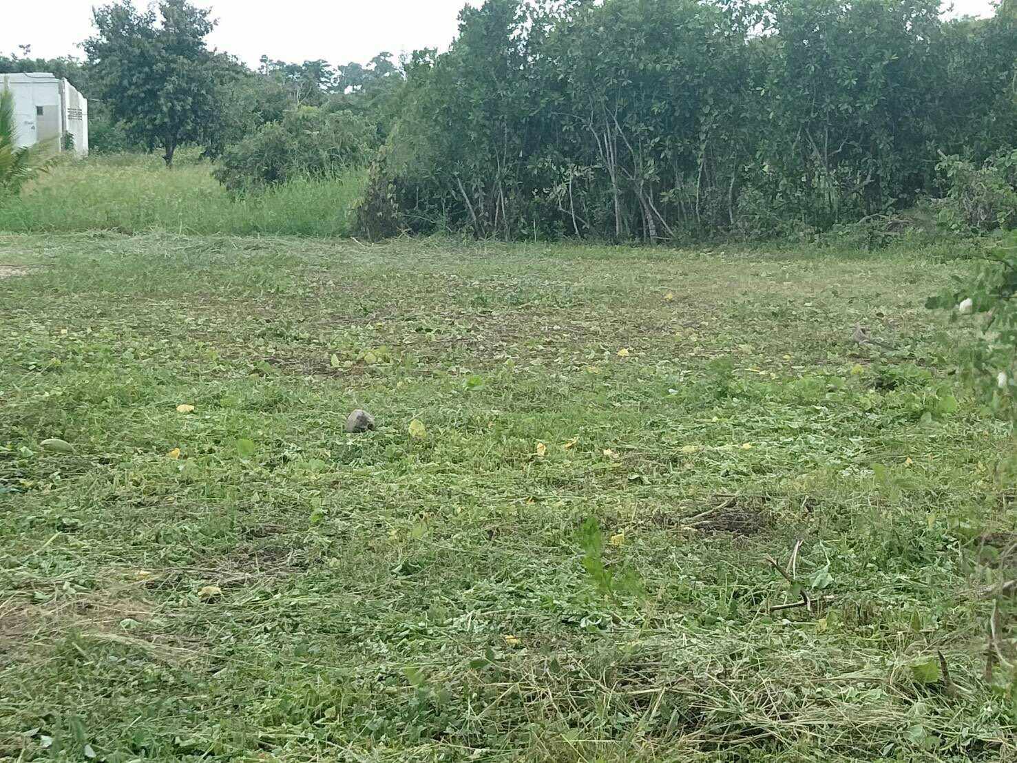 💥📣ขายที่ดินใกล้เซเว่นสาขาบ้านเหมืองง่าอำเภอเมืองลำพูน2แปลงติดถนนคอนกรีตเดินทางสะดวกเหมาะทำธุรกิจหรือการเกษตรบ้านสวนสนใจติดต่อเจ้าของทรัพย์091-8588378💥📣