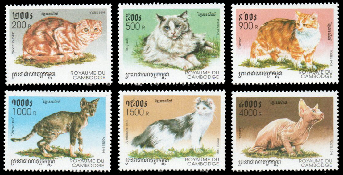 1998 Domestic Cats