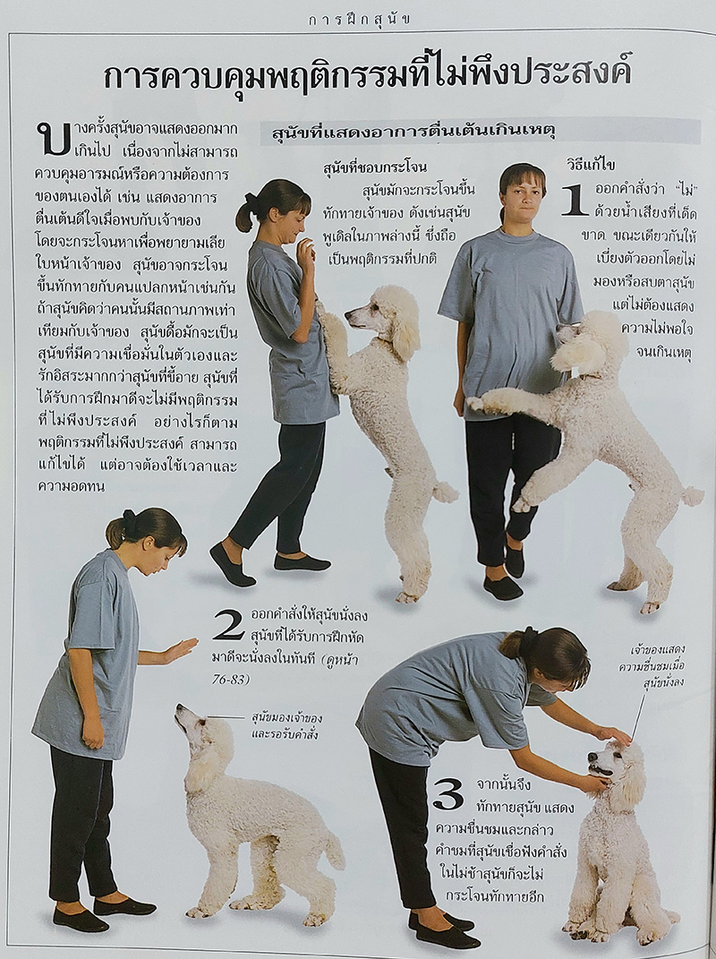 คู่มือดูแลสุนัขฉบับสมบูรณ์ (Complete Dog Care Manaul)