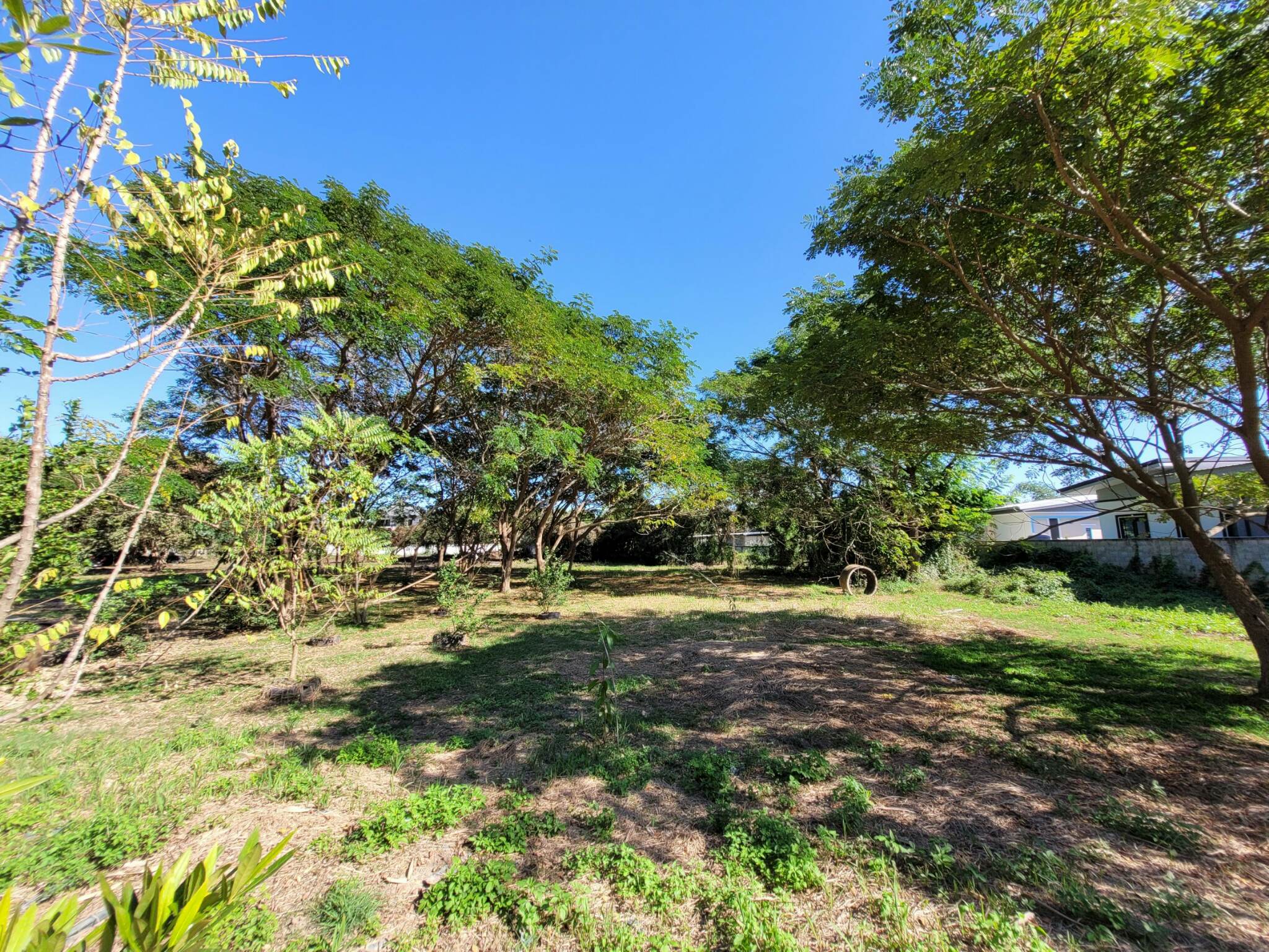 ขายที่ดินราคาถูก อ.เมืองลำปาง เจ้าของขายโดยตรง ใกล้โกบอลเฮ้าส์และเซเว่นสาขาปงแสนทองที่ดินสวยเหมาะทำธุรกิจบรรยากาศดีแบ่งขาย 3 ไร่ ติดต่อเจ้าของที่ 081-9525175 คุณอำนวย