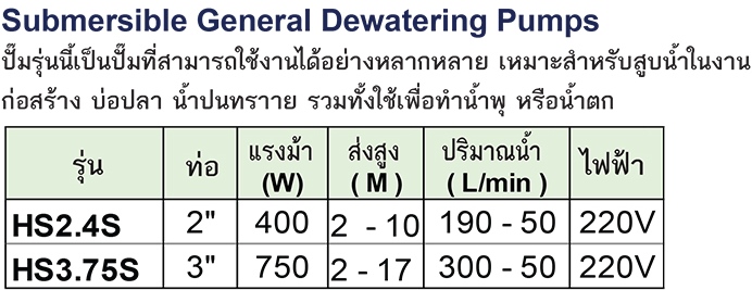 TSURUMI PUMP ปั๊มแช่สูบน้ำ รุ่น HS2.4S