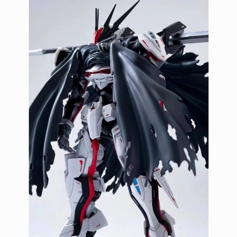 WM HG 1/144 Load Astray Omega Model **ทักเเชทก่อนกดคำสั่งซื้อนะครับ***