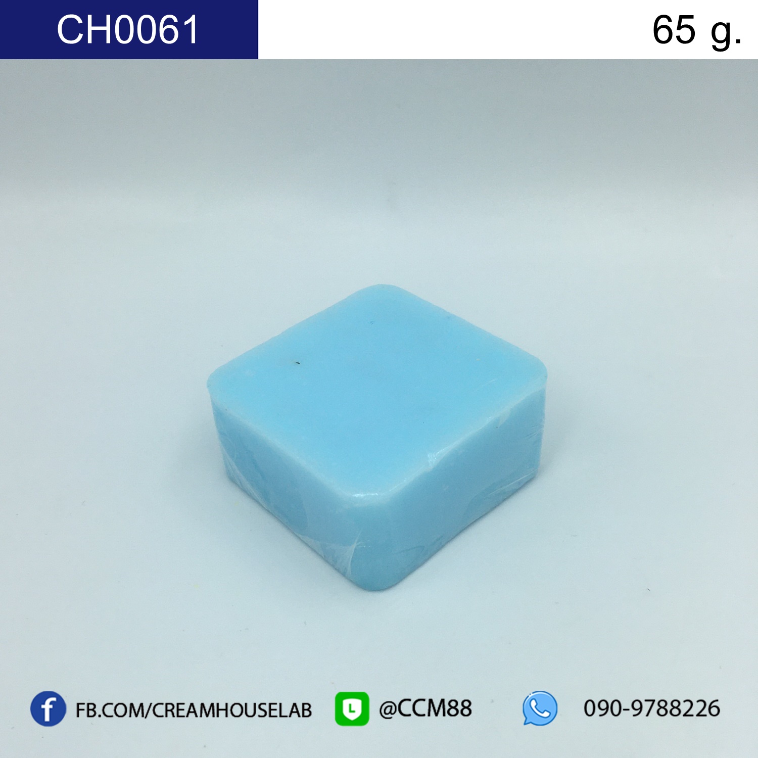 รหัส CH0061