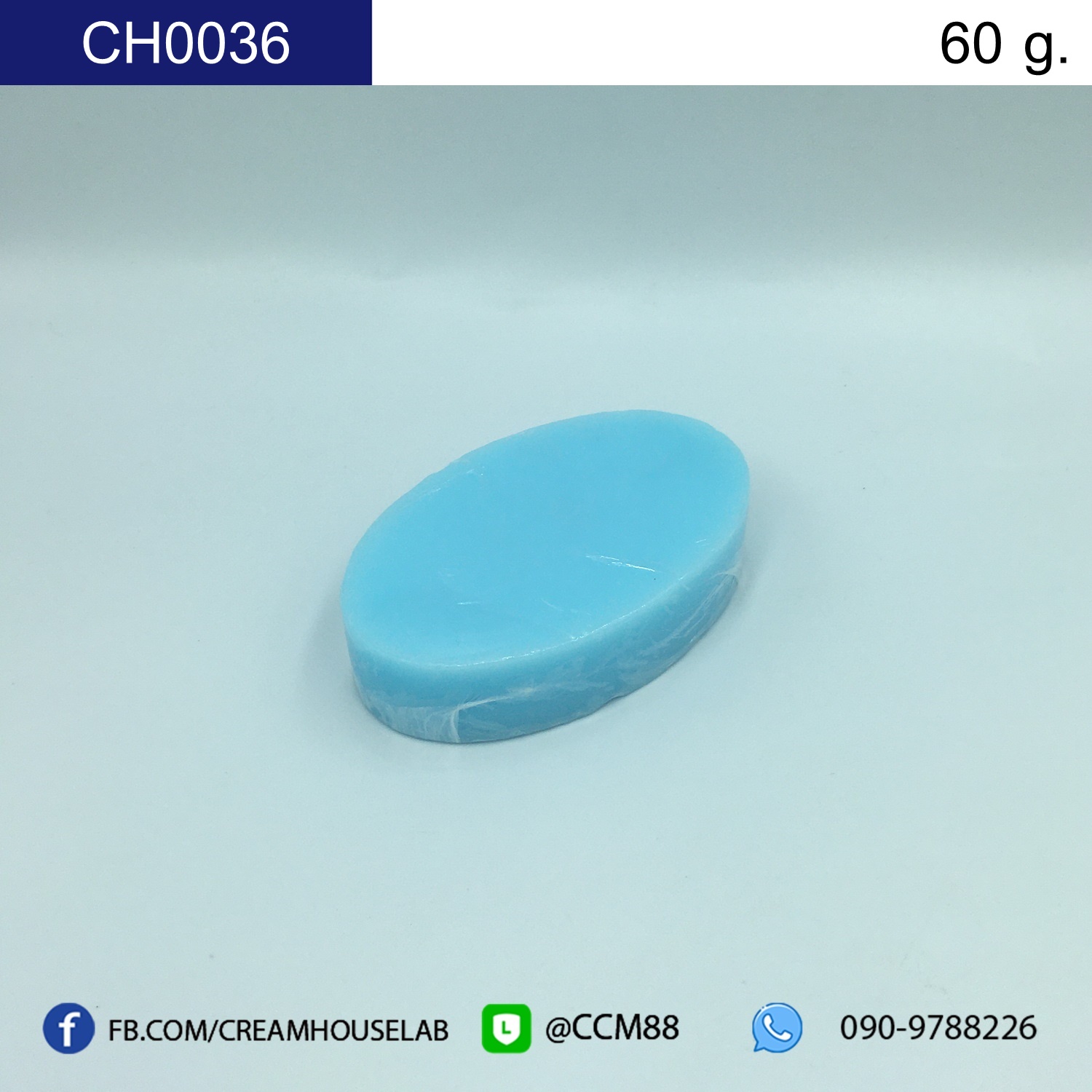 รหัส CH0036