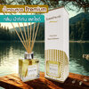 ScentVenir MOUNTAIN LAKESIDE Scent Diffuser น้ำหอมกระจายกลิ่น น้ำหอมปรับอากาศ ไม้หวาย ก้านไม้ ก้านหวาย ก้านไม้หอม กลิ่น เม้าท์เท่น เลคไซด์ สัมผัสกับกลิ่นแห่งขุนเขา ทะเลสาป หอมสะอาด สดชื่น, เย็นสบาย อโรม่า สูตรน้ำมันหอมระเหยแท้กับหัวน้ำหอมเกรดสูง ขนาด 100m