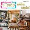 5 ไอเดียแต่งบ้านแบบนี้ รับรองไม่มีเอ้าท์ (ก้านไม้หวายกระจายกลิ่น ก็ประดับได้)