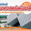พาเที่ยวพิพิธภัณฑ์วิทยาศาสตร์แห่งชาติ ปทุมธานี🚎🫧