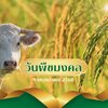 🌿วันพืชมงคล: ประเพณีแห่งความหวังของชาวนาไทย🐂
