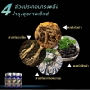 เรื่องควรรู้ ก่อนกินยาปลุกอารมณ์+เพิ่มขนาด