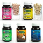 สมุนไพรคุณสัมฤทธิ์ 1,000mg. x 60แคปซูล