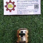 SHINOHAWA : Brass Cable grand ทองเหลือง ชุบนิเกิ้ล PG21 IP44