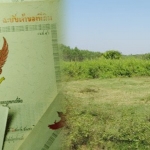 ต้องการซื้อ ที่ดินเปล่า ถนนกรุงเทพกรีฑา เข้าซอยได้ จำนวน 50 ตารางวา ขึ้นไป