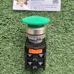 TEND : สวิตช์กดหัวเห็ด 25mm. 1NO+1NC สีเขียว