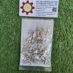 T.LUG : หางปลาแฉก-เปลือย Y1.5-3, (100ชิ้น/ถุง)