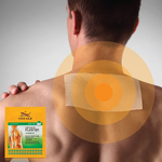 Tiger Balm Medicated Cool Plaster 1 แผ่น x 2 ชิ้น พลาสเตอร์บรรเทาปวดสูตรเย็นแผ่นเล็ก ตราเสือ