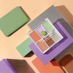 Baby Bright TONE CORRECTOR perfection palette 12 g.