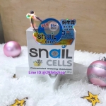 Bio Skin Snail Cells Concentrated Whitening Moisturizer 30g