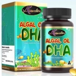 Auswelllife Smart Algal DHA 60 แคปซูล