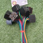 BOSCH : ปลั้ก เสียบรีเลย์พร้อมสาย 5 ขา