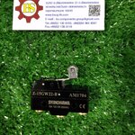 SHINOHAWA : Micro Switch Z-15GW22(AM1704) 15A