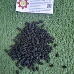 ตัวหนอนมิลดำ M5X8mm.