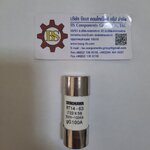 SHINOHAWA : ลูกฟิวส์ขนาด 22x58 100A RT14-63 FU157