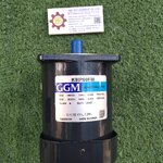 GGM : INDUCTION MOTOR MODEL : K9IP60FM