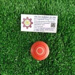EATON : Mushroom actuator M22-DP-R-X0 red