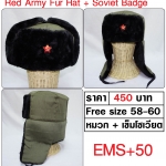 Red Army Fur Hat + Soviet Insignia