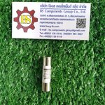 SHINOHAWA : ลูกฟิวส์ขนาด RT14-20 10x38 2A