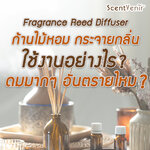 ก้านไม้หอม กระจายกลิ่น (Fragrance Reed Diffuser) ใช้งานยังไง ดมมากๆอันตรายไหม?