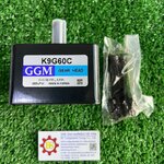 GGM : GEAR HEAD MODEL : K9G60C