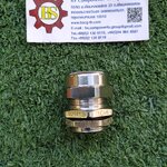 SHINOHAWA : เคเบิ้ลแกลนสแตนเลส M25x1.5 IP68 13-18mm (PL356)