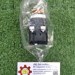 TEND : ไพล็อตแล้มป์ TPR-252-Y 25mm. 220V สีเหลือง