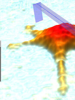 Live cell culture monitoring