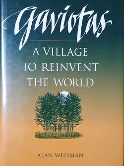 Gaviotas : A Village to Reinvent the World
