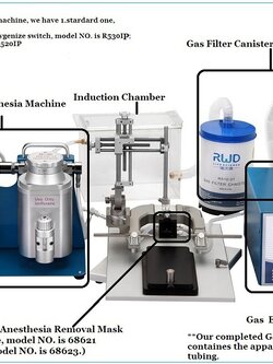 SMALL ANIMAL ANESTHESIA SYSTEM