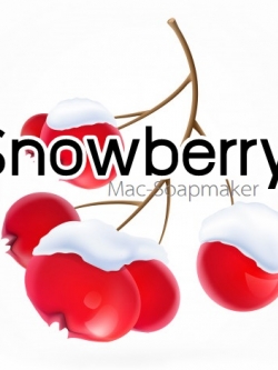 Snowberry / น้ำมันหอม สโนว์เบอรี่ สดชื่น สบาย ผ่อนคลาย ละลายได้ในน้ำมัน - ไม่เร่งเทรซ