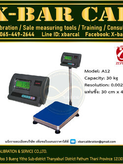 ZEPPER แบบวางพื้น พิกัด 30 kg อ่านละเอียด 0.002 kg ขนาดแท่นชั่ง 30*40 cm