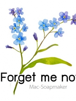 FORGET ME NOT หัวน้ำหอม ฟอเก็ท มี นอท ละลายในแอกอฮอล์และน้ำมัน