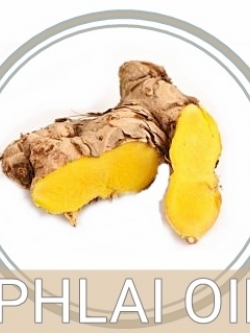 PHALI OIL น้ำมันไพลสกัด