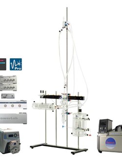 Langendorff Systems - Radnoti (Constant Pressure or Flow)