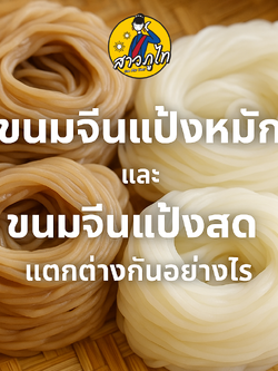 ขนมจีนแป้งหมัก vs ขนมจีนแป้งสด ต่างกันอย่างไร? เปรียบเทียบข้อดี–ข้อเสีย พร้อมวิธีเลือกซื้อ