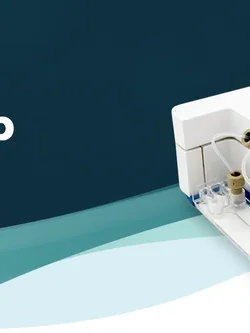 Organ-on-chip Cell culture