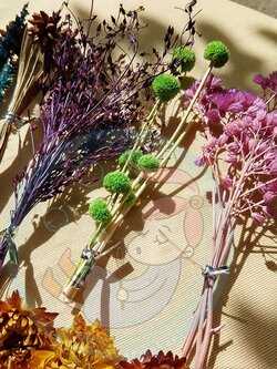 Dried flower set /ดอกไม้ ใบไม้ แห้ง ขนาดเล็ก คละดอกและใบ