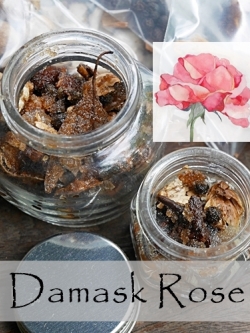 ชุด ยาดมสมุนไพรผสมกุหลาบดามัส สูตรหอมเย้ายวนของกุหลาบ ช่วยผ่อนคลายความเครียด รวมกับสมุนไพรแห้งหอมอื่นๆ ผสมผสานการบูร เมนทอล พิมเสน เพิ่มความหอม เย็น สดชื่น *