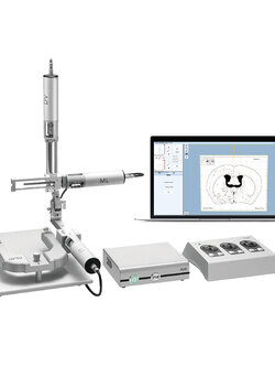 Automated Stereotaxic
