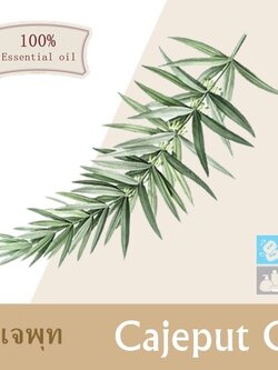 Cajeput Oil / น้ำมันหอมระเหยคาเจพุท (น้ำมันเขียว หรือ น้ำมันเสม็ด) ละลายในแอกอฮอล์และน้ำมัน COA