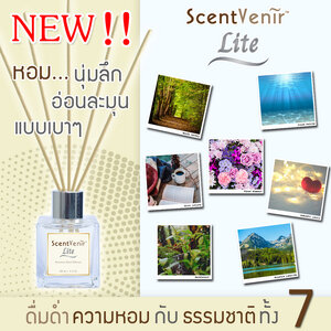 Lite ก้านไม้หอม ไม้หวาย น้ำหอมกระจายกลิ่น หอมนุ่มลึก แบบเบาๆ (Reed Diffuser Lite)