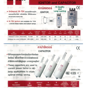 IGNITOR AND CAPACITOR
